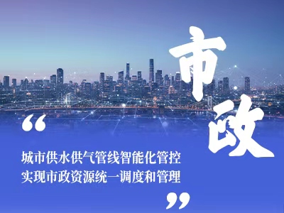 市政